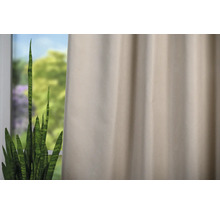 Cortină decorativă lângă o plantă de interior în fața unei ferestre.