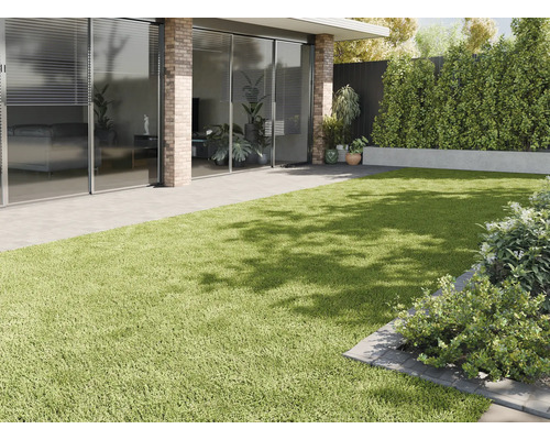 Exterior cu gazon artificial, terasă și plantare