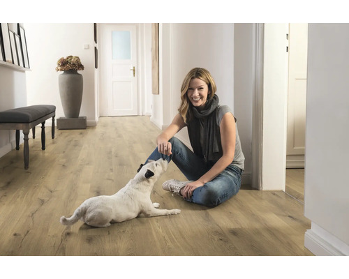 Hol luminos cu podea laminată, o femeie și un câine