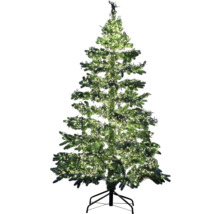 Brad împodobit verde de Crăciun cu iluminare