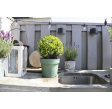 Spațiu exterior cu jardiniere, lumini de exterior și chiuvetă