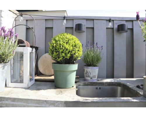 Spațiu exterior cu jardiniere, lumini de exterior și chiuvetă