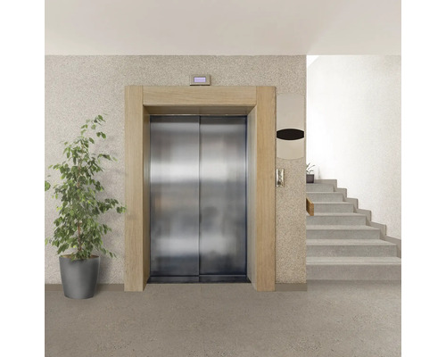 Ascensor cu uși din oțel inoxidabil într-o clădire lângă o scară și o plantă.