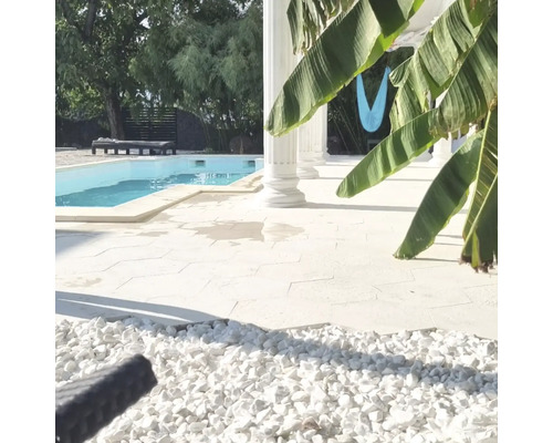 Exterior cu piscină, stâlpi și șezlong