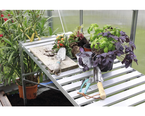 Scenă de grădină cu masă de plantare, plante și unelte de grădină în seră.