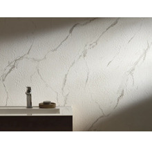 Baie cu chiuvetă, robinet și decor de perete în stil marmură