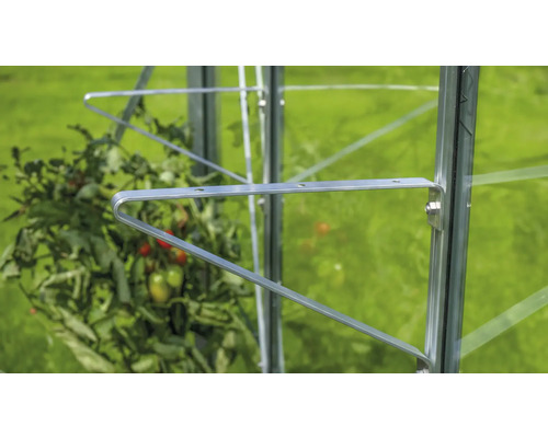 Prim-plan cu suportul pentru tomate într-o seră