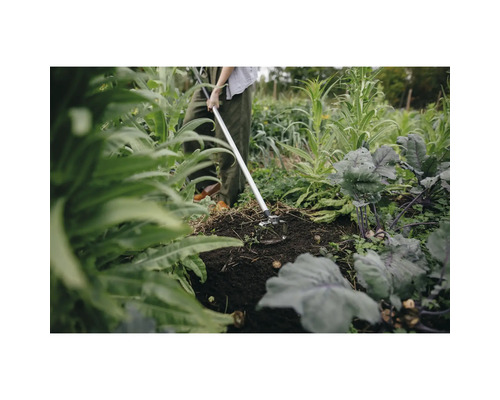 Scenă de grădină cu o persoană care folosește o sapă pentru a lucra pământul printre plante.