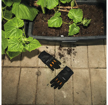 O pereche de mănuși de grădină Fiskars zace lângă un ghiveci de flori plantat cu castraveți.