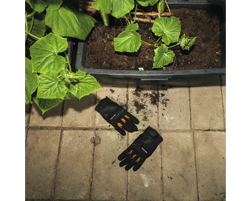 O pereche de mănuși de grădină Fiskars zace lângă un ghiveci de flori plantat cu castraveți.
