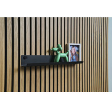 Panouri de perete cu raft, decor și ramă foto