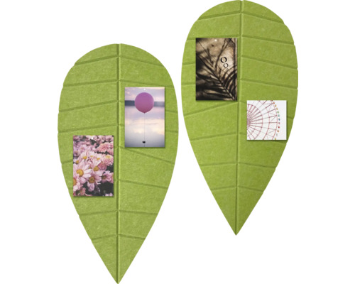Două panouri de plută verzi în formă de frunze cu fotografii.