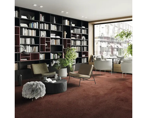 Sală de lectură cu bibliotecă, fotolii și covor