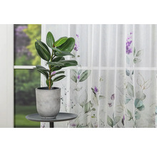Scenă cu o plantă de interior în ghiveci pe o masă în fața unei ferestre cu o perdea cu model floral.