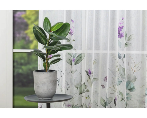 Scenă cu o plantă de interior în ghiveci pe o masă în fața unei ferestre cu o perdea cu model floral.
