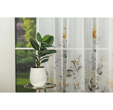 Șaluri decorative cu model de plante și arbore de cauciuc în ghiveci pe o masă în fața ferestrei
