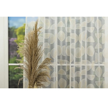 Fereastră decorativă cu perdea cu model geometric și iarbă ornamentală