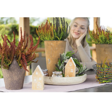 Decorațiuni cu heather în ghivece și lumânări decorative pe o masă