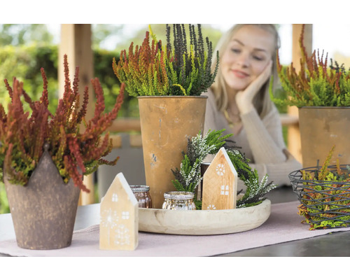 Decorațiuni cu heather în ghivece și lumânări decorative pe o masă