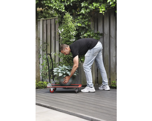 Un bărbat transportă o plantă la ghiveci cu o scândură cu rotile în grădină.