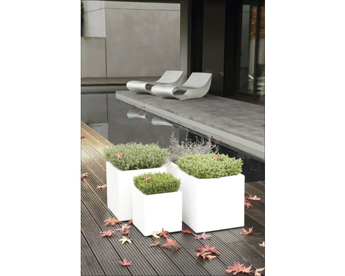 Jardiniere pătrate din plastic cu plante pe o terasă din lemn