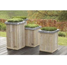 Mai multe jardiniere din lemn cu plante verzi deasupra în grădină.