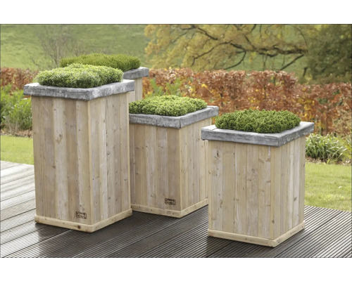 Mai multe jardiniere din lemn cu plante verzi deasupra în grădină.