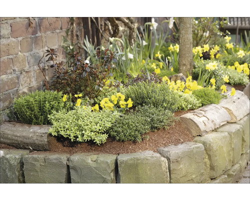 Jardineră cu bordură de piatră, plantată cu diverse flori și plante