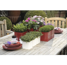 Masa decorativă de grădină cu jardiniere roșii și albe și veselă.