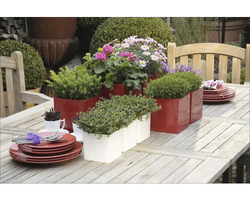 Masa decorativă de grădină cu jardiniere roșii și albe și veselă.