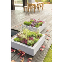 Două jardiniere dreptunghiulare din beton plantate pe o terasă cu podea din lemn