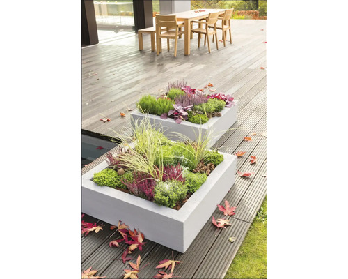 Două jardiniere dreptunghiulare din beton plantate pe o terasă cu podea din lemn
