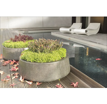 Două jardiniere de piatră plantate pe o terasă de lemn lângă un iaz