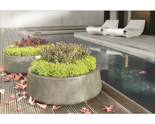 Două jardiniere de piatră plantate pe o terasă de lemn lângă un iaz