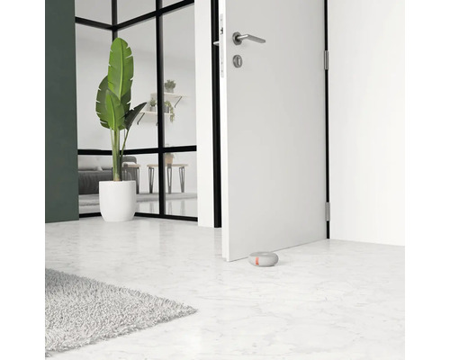 Imagine modernă a camerei cu ușă, plantă de interior și opritor de ușă