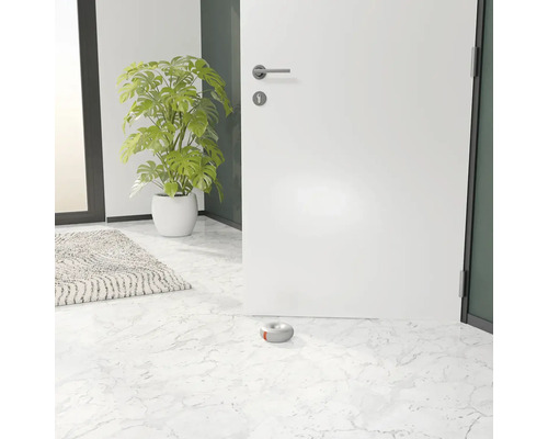 Fotografie de interior cu ușă, plantă de interior, covor și opritor rotund de ușă din beton