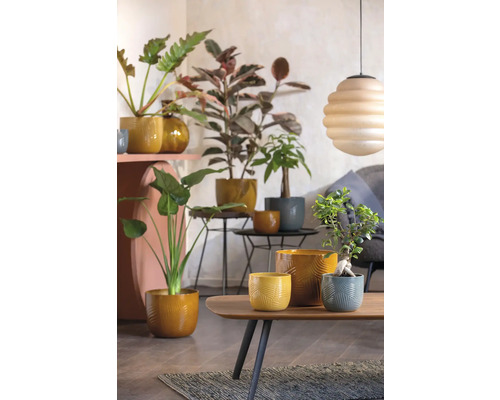 Fotografie de interior a unui living cu diverse plante de interior în ghivece pe mese și rafturi