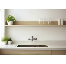 Chiuvetă de bucătărie cu robinet, blat și raft cu decorațiuni