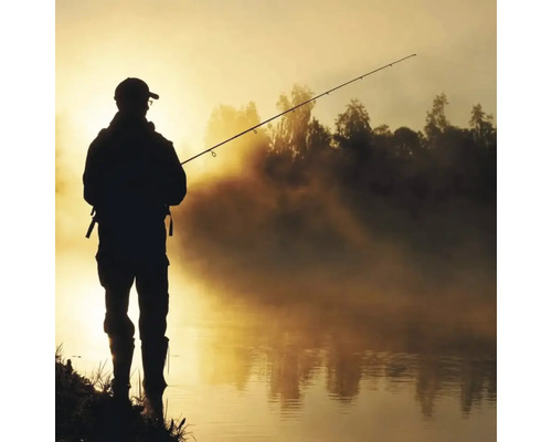 Silueta unui pescar la lac cu undiță