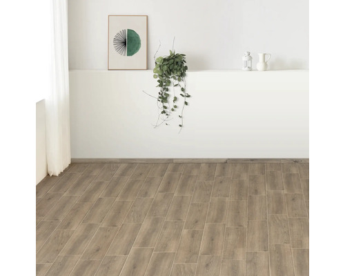 Cameră luminoasă cu gresie cu aspect de lemn și decorațiuni