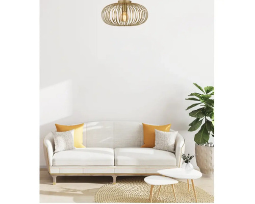 Living cu plafonieră, canapea, perne, covor, măsuțe de cafea și plantă de interior