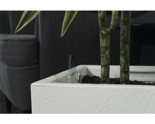 Prim-plan cu o plantă de interior într-un ghiveci alb cu sistem de irigare