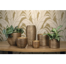 Diverse ghivece decorative și o vază ceramică pe o masă.