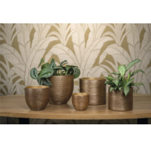 Vaze de flori ceramice de diferite dimensiuni pe o masă