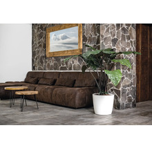 Living cu canapea maro, mese din lemn și plantă de interior în ghiveci alb, în fața unui perete de piatră