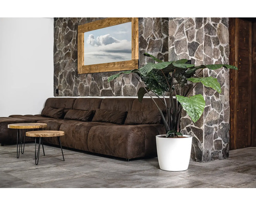 Living cu canapea maro, mese din lemn și plantă de interior în ghiveci alb, în fața unui perete de piatră