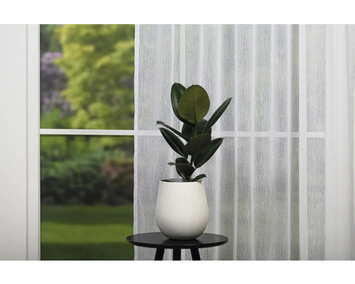 Plantă de interior în ghiveci pe o masă în fața unei ferestre cu perdea