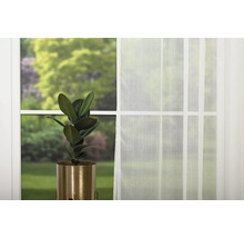 Fereastră cu perdea transparentă și plantă de apartament în ghiveci