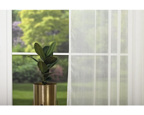 Fereastră cu perdea transparentă și plantă de apartament în ghiveci