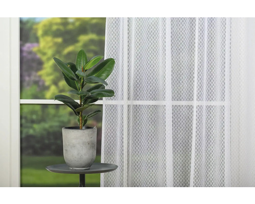 Plantă de interior în ghiveci pe o masă lângă o fereastră cu perdea